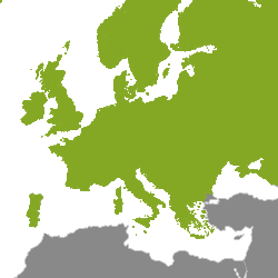 Property Europe